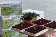 八字正缘高速赋能产业升级：一条“杨梅路”的致富密码